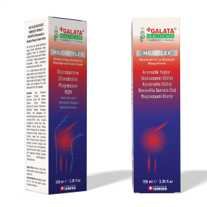 GALATA HEALTHCARE  MGJOFLEX KREM 100ML