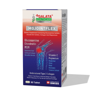 GALATA HEALTHCARE  MGJOINTFLEX 90 TABLET